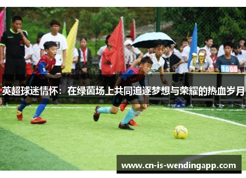 英超球迷情怀：在绿茵场上共同追逐梦想与荣耀的热血岁月