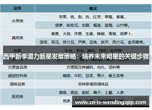西甲新季潜力新星发展策略：培养未来明星的关键步骤